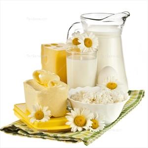 تصویر با کیفیت شیر و کره و ماست و پنیر و گل بابونه